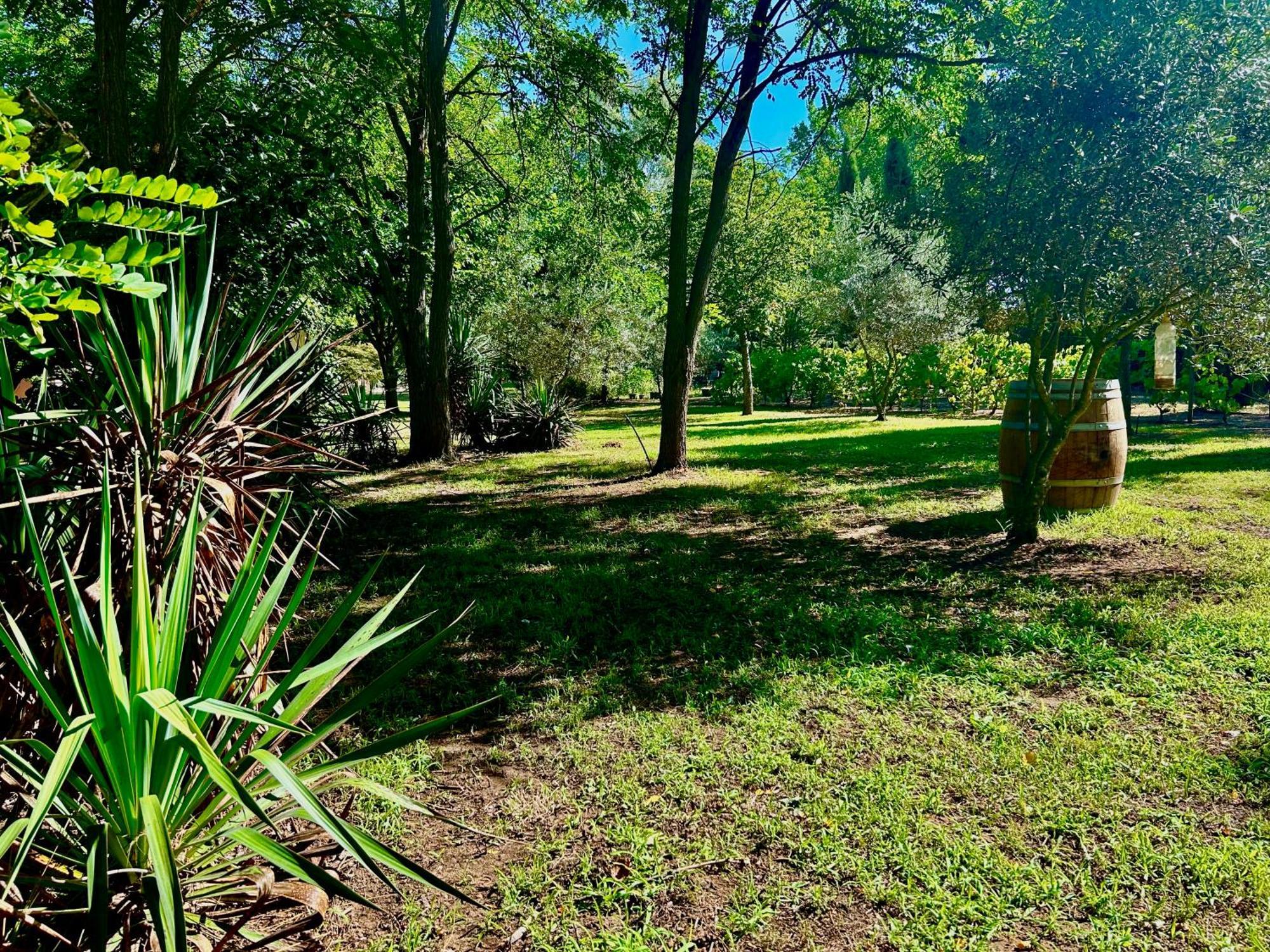 Domaine Plan Des Devens *