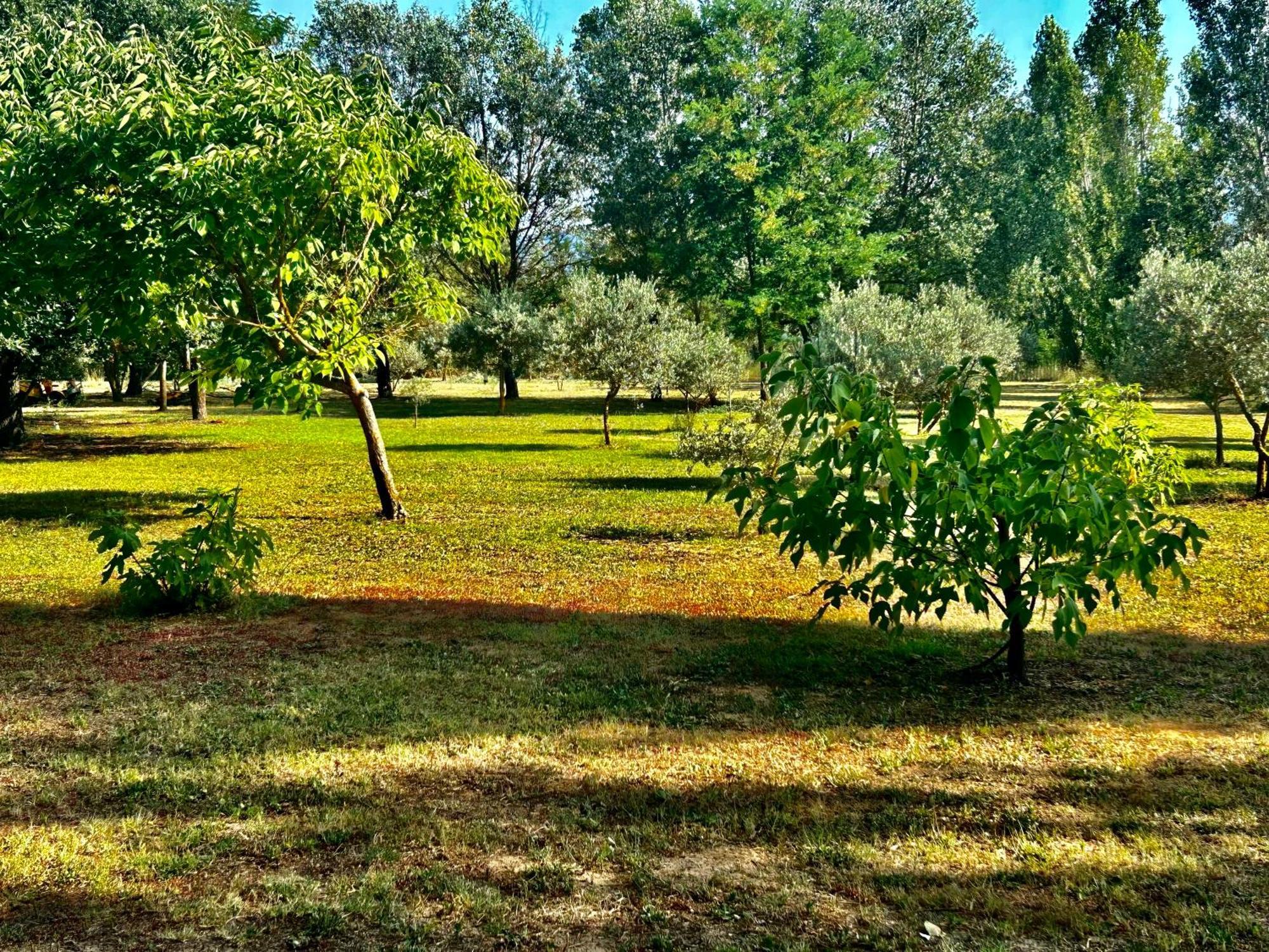 Domaine Plan Des Devens Holiday home *